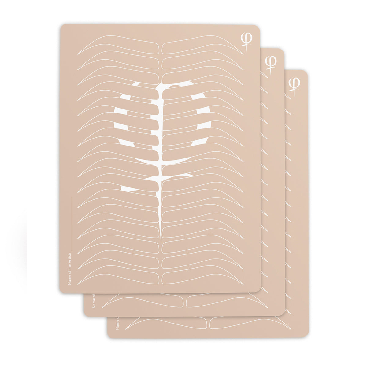 PhiAcademy Microblading Phi Box — printed training latex included in the Phi Box