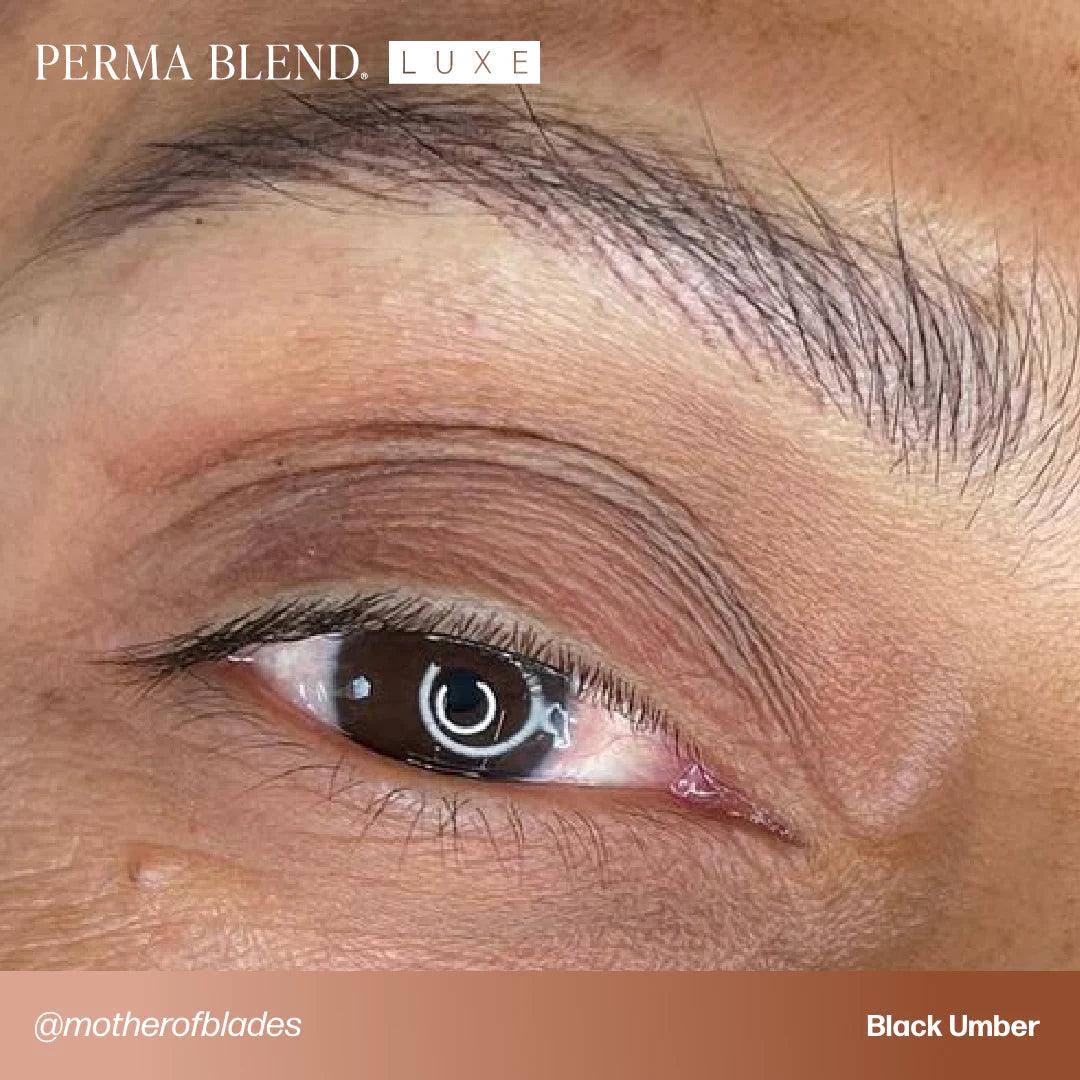 Perma Blend LUXE Brow Chicka Wow Wow Set - BVShop
