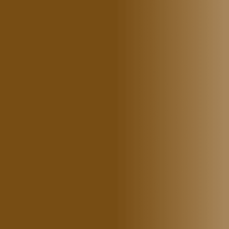 Swiss Color 203 Chocolate Brown Eyebrow Pigment - BVShop