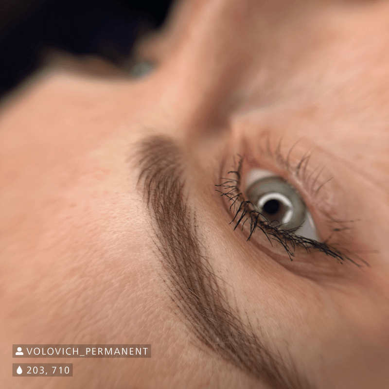 Swiss Color 203 Chocolate Brown Eyebrow Pigment - BVShop