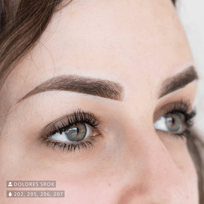 Swiss Color 207 Ebony Brown Eyebrow Pigment - BVShop