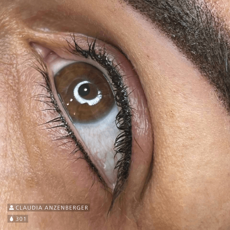 Swiss Color 301 Ultrablack Eyeliner Pigment - BVShop