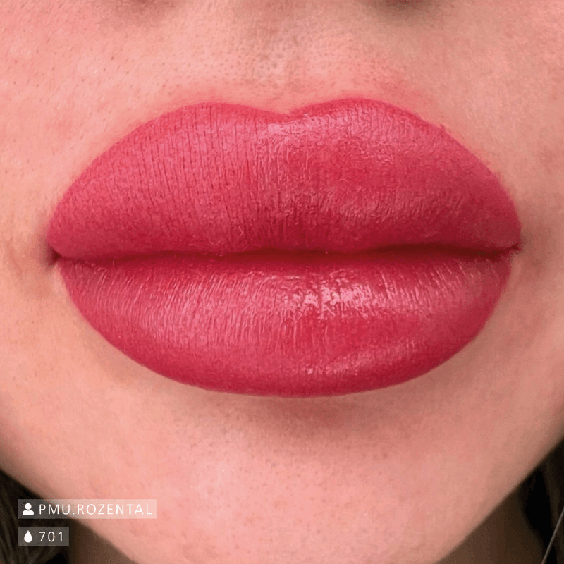 Swiss Color 701 Wild Rose Lip Pigment - BVShop