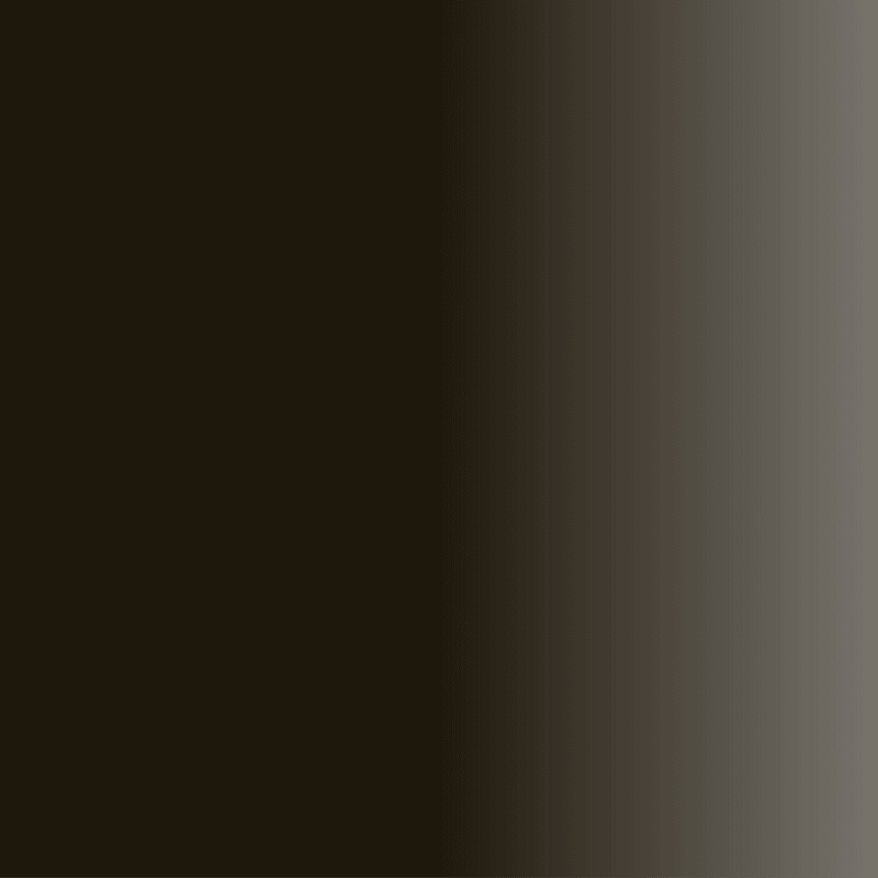 Swiss Color 716 Midnight Brown Eyebrow Pigment - BVShop