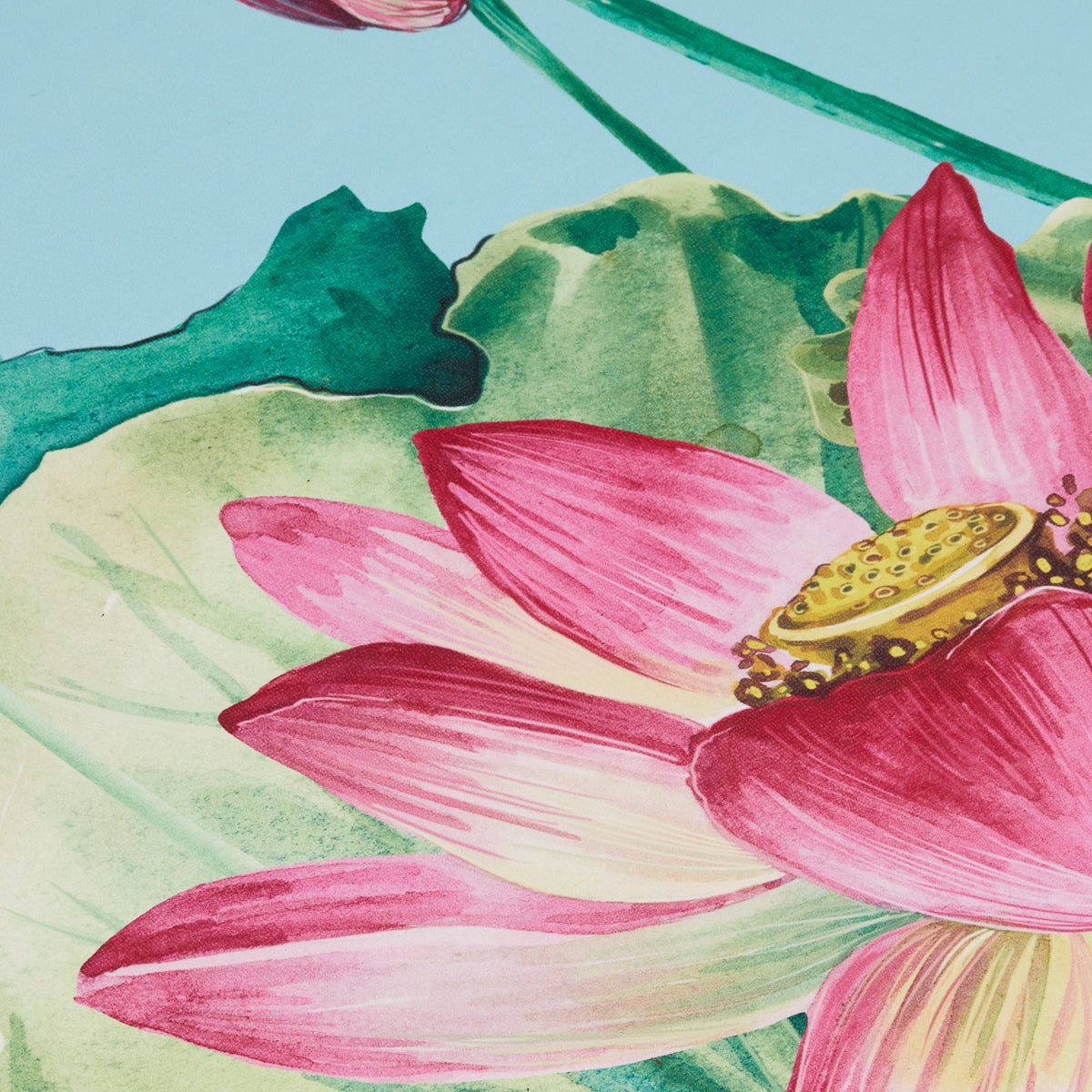 YOGA MAT 1108 - BVShop