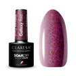 1-CLARESA-1
