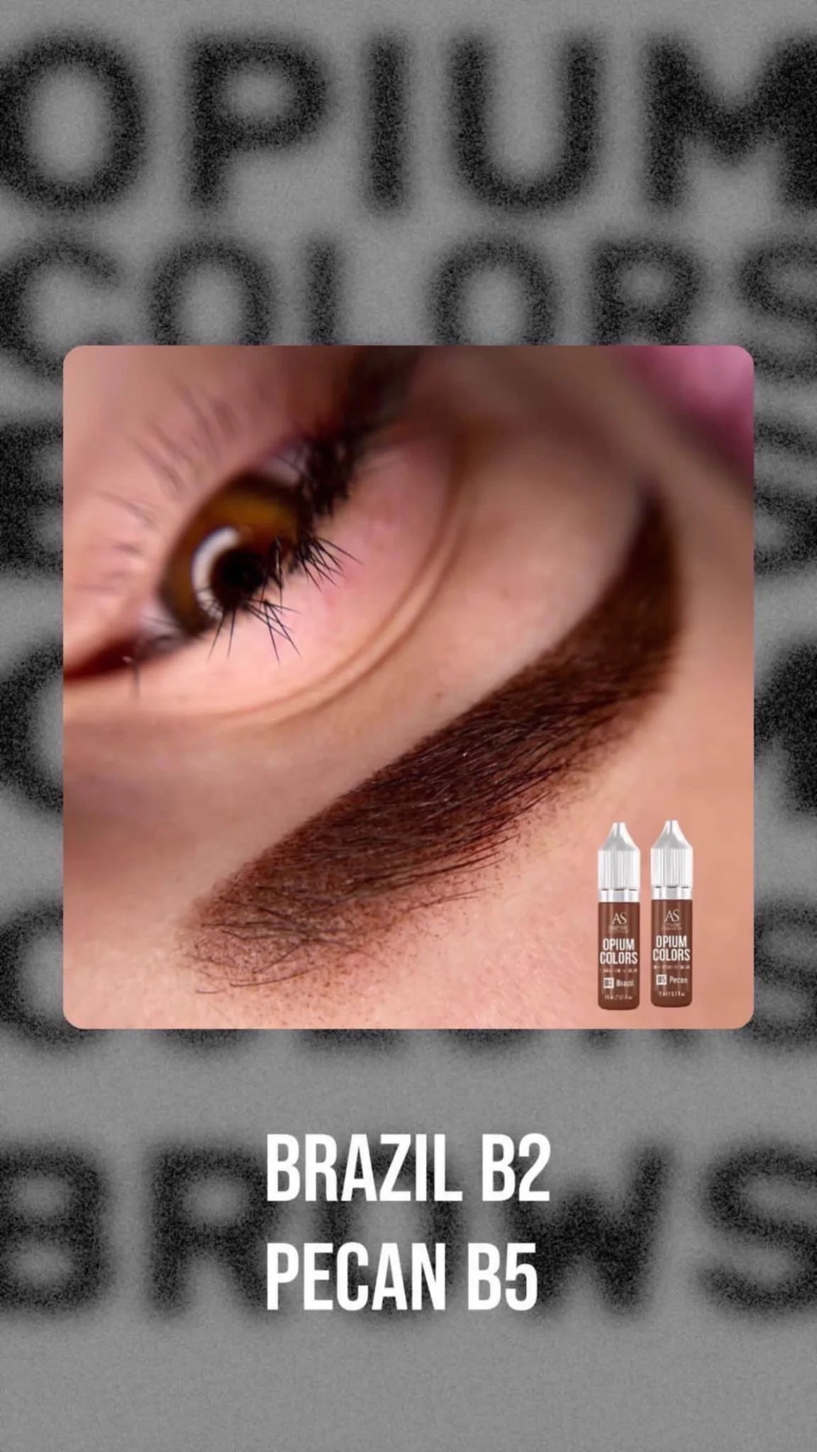 AS COMPANY B5-Pekan (OPIUM-FARBEN) 6/15ml