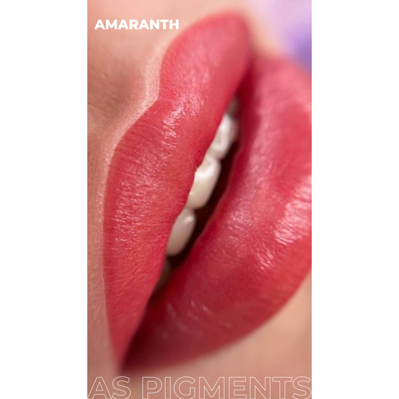 AS COMPANY Konzentrat Set (AS Pigmente) 6 Stk./6ml