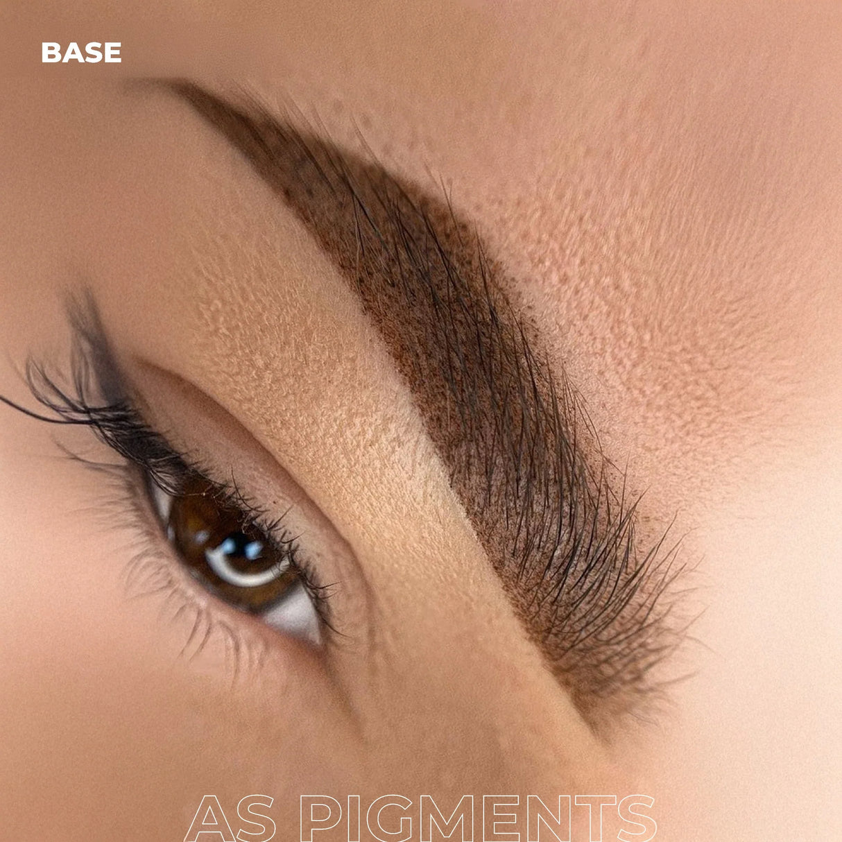 AS COMPANY Basis (AS Pigmente) 6/12ml