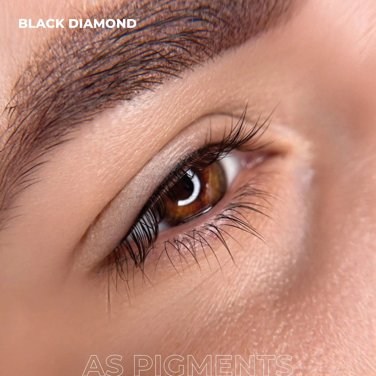 AS COMPANY Black Diamond (AS Pigmente) 6/12ml