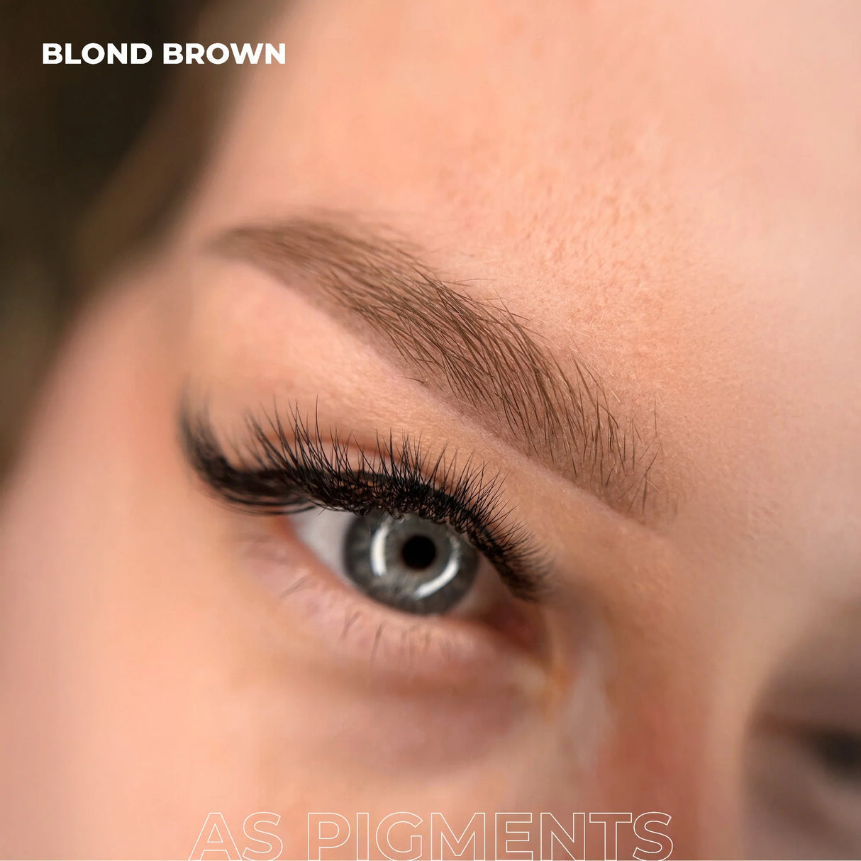 AS COMPANY Blond Braun (AS Pigmente) 6/12ml