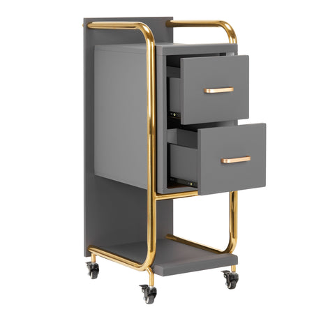 GABBIANO HAIRDRESSER TROLLEY SOLO GOLD GRAY - BVShop