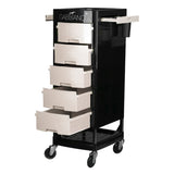 Gabbiano hairdressing assistant ft65 black / white - BVShop