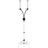 LED lamp for eyelashes and makeup polluks ii type msp-ld01 - BVShop