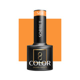 OCHO NAILS Hybrid nail polish Sorbet S04 -5 g - BVShop