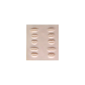 Practice skin lips - BVShop