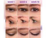 RefectoCil Lash And Brow Booster 6ml - BVShop
