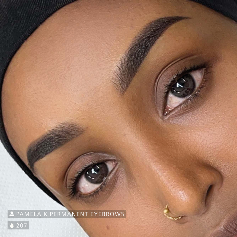 Swiss Color 207 Ebony Brown Eyebrow Pigment