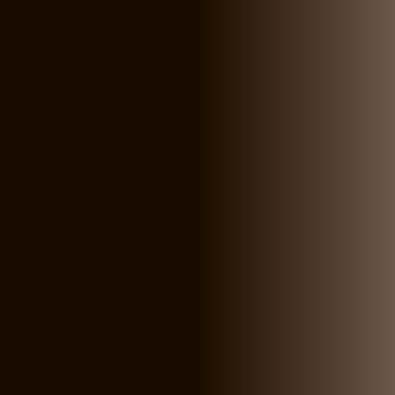 Swiss Color 207 Ebony Brown Eyebrow Pigment