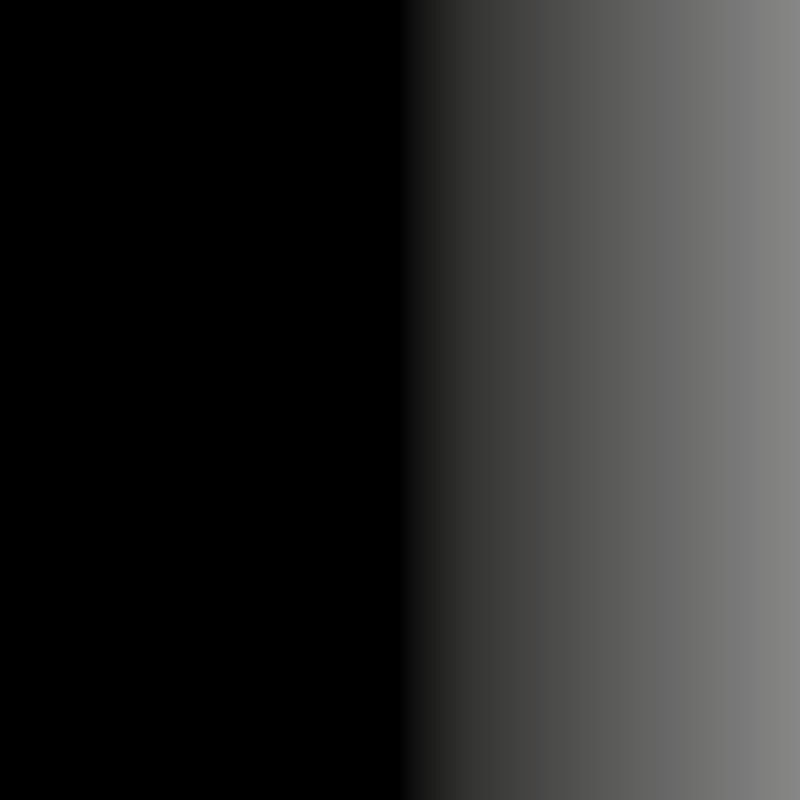 Swiss Color 303 Stardust Eyeliner Pigment