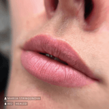 Swiss Color 402 Dusty Rose Lip Pigment - BVShop