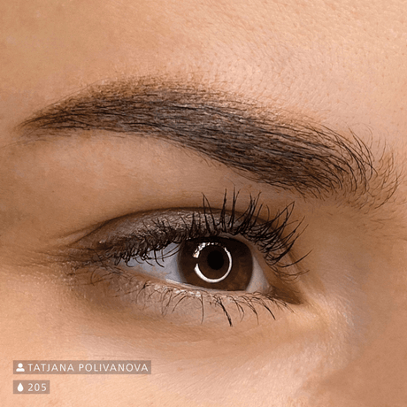 Swiss Color 205 Dark Brown Eyebrow Pigment - BVShop