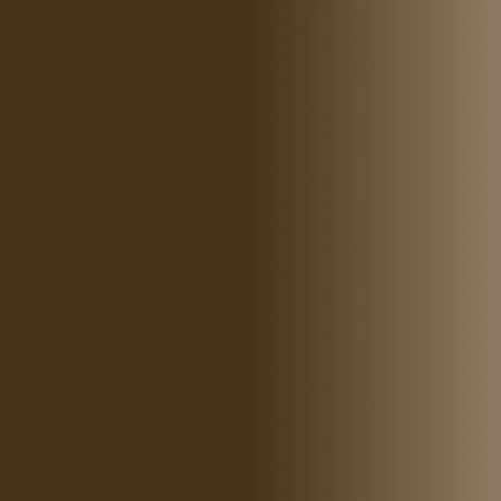 Swiss Color 206 Cocoa Brown Eyebrow Pigment - BVShop
